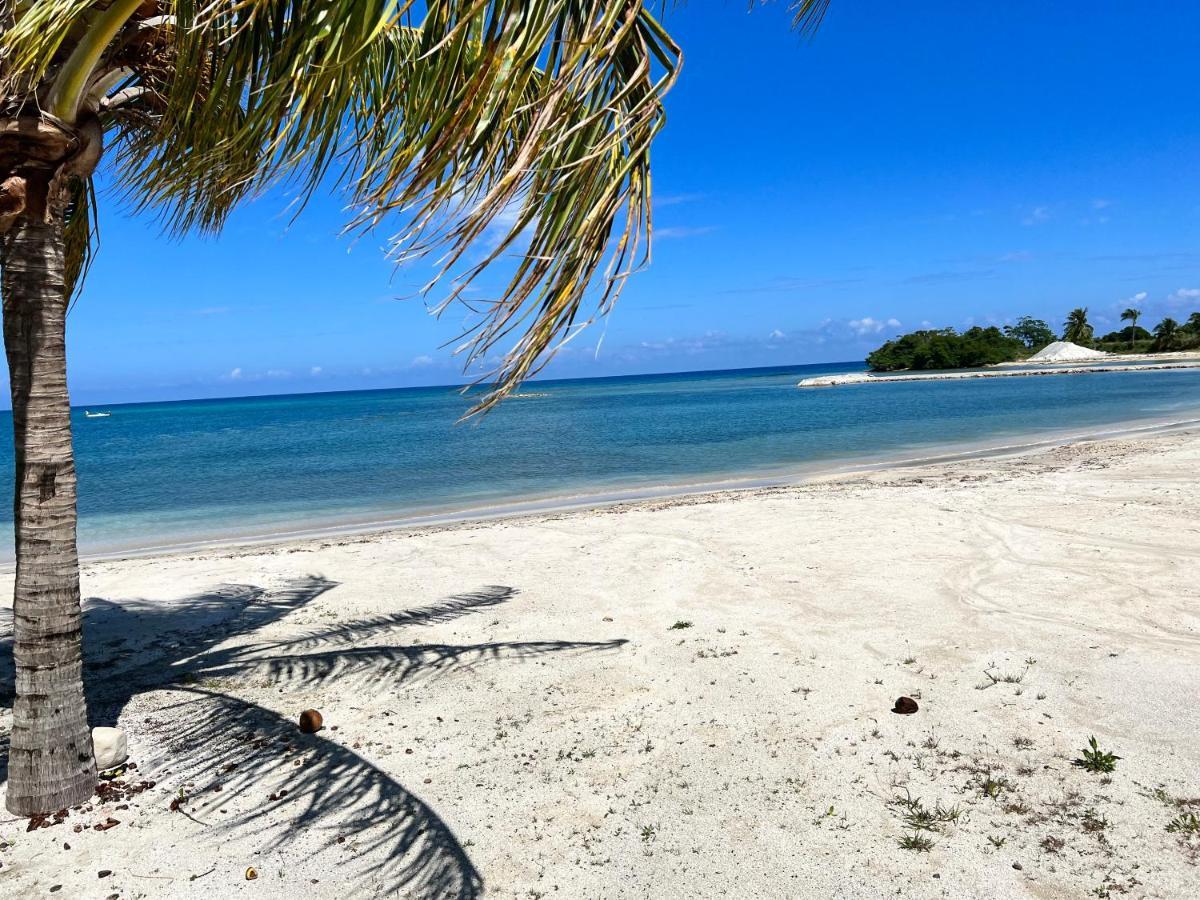 Apartament Ocho Rios Ocean Escape Richmond Zewnętrze zdjęcie